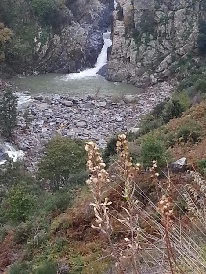 B&B L'Alba Gagliato Bagian luar foto